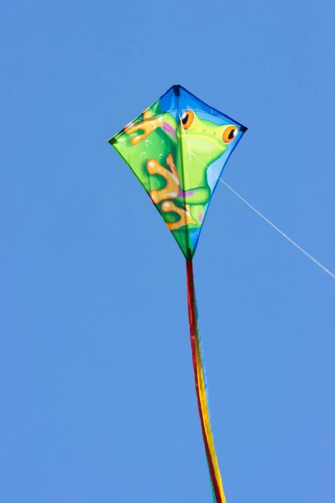 Ecoline Eddy Froggy 28in Diamond Kite